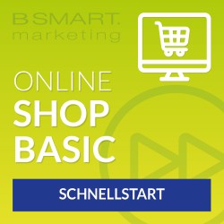 Schnellstart – Online-Shop BASIC - einmalig